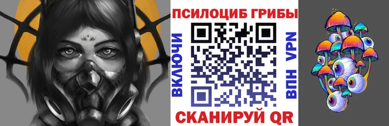 Псилоцибиновые грибы Cubensis  Дрезна 